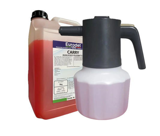 Pulvérisateur à mousse auto électrique 2L + Shampoing Auto Moussant CARRY 5L