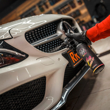 BadBoys Nettoyant insectes 1L