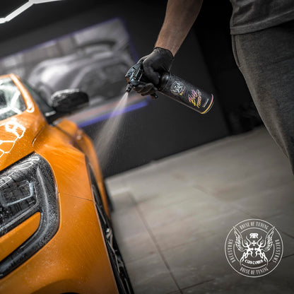 BadBoys Nettoyant insectes 500ml