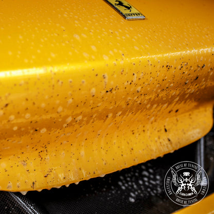 BadBoys Nettoyant insectes 5L