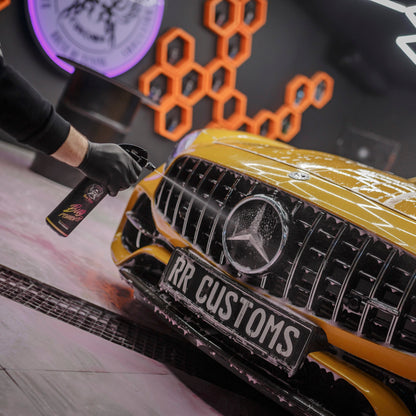 BadBoys Nettoyant insectes 5L