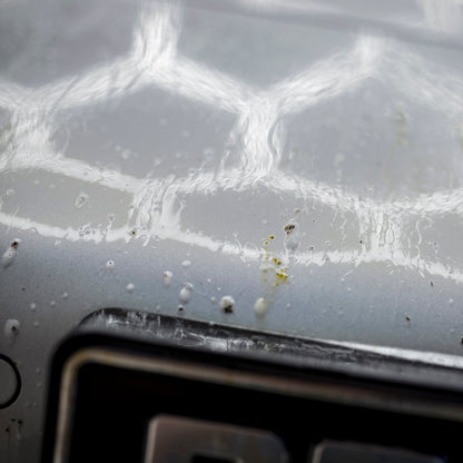 BadBoys Nettoyant insectes 5L