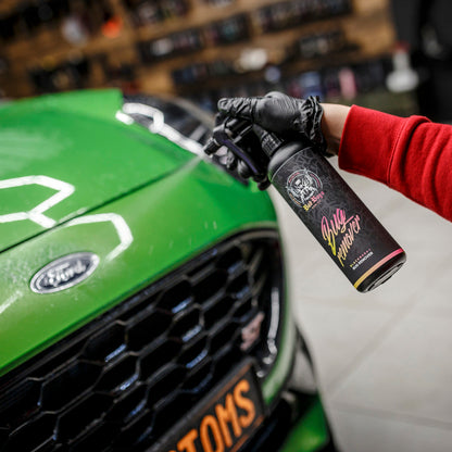 BadBoys Nettoyant insectes 5L