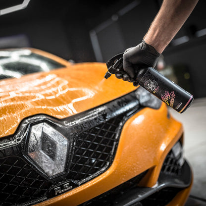 BadBoys Nettoyant insectes 5L